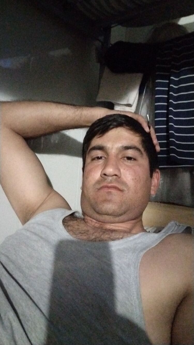  43238757  , 31 ,    