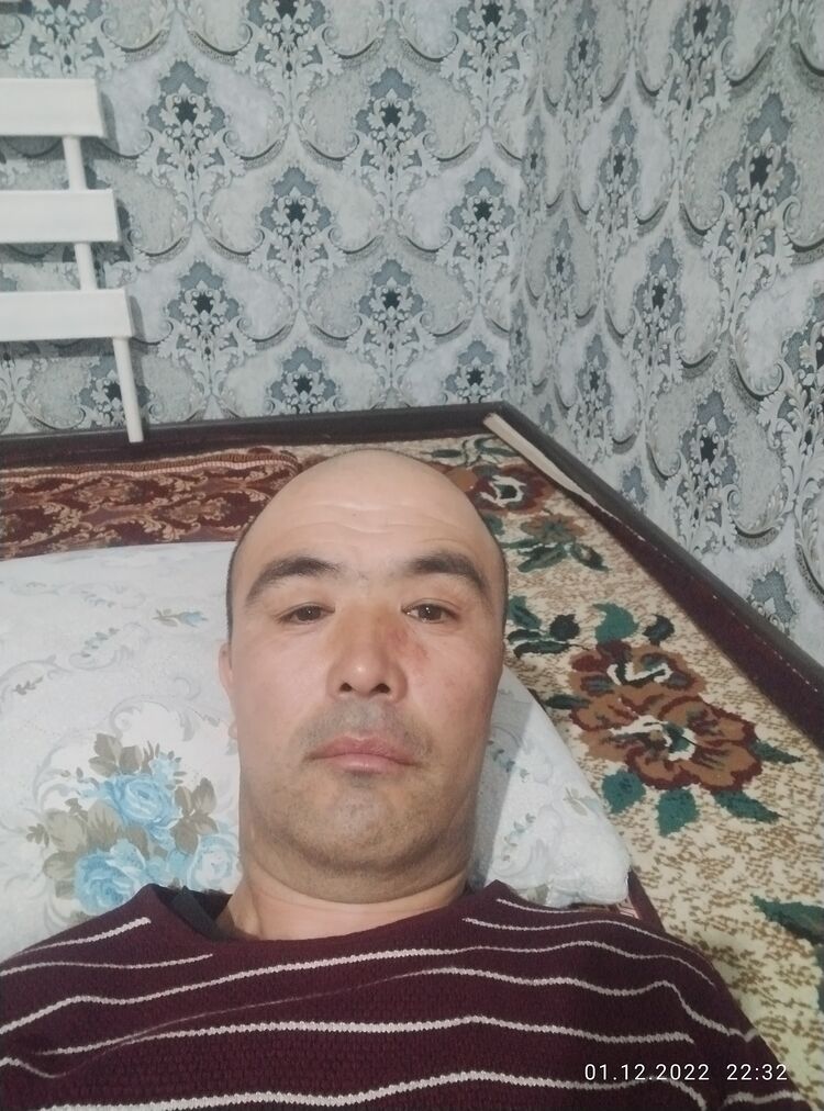  36494107  , 43 ,    