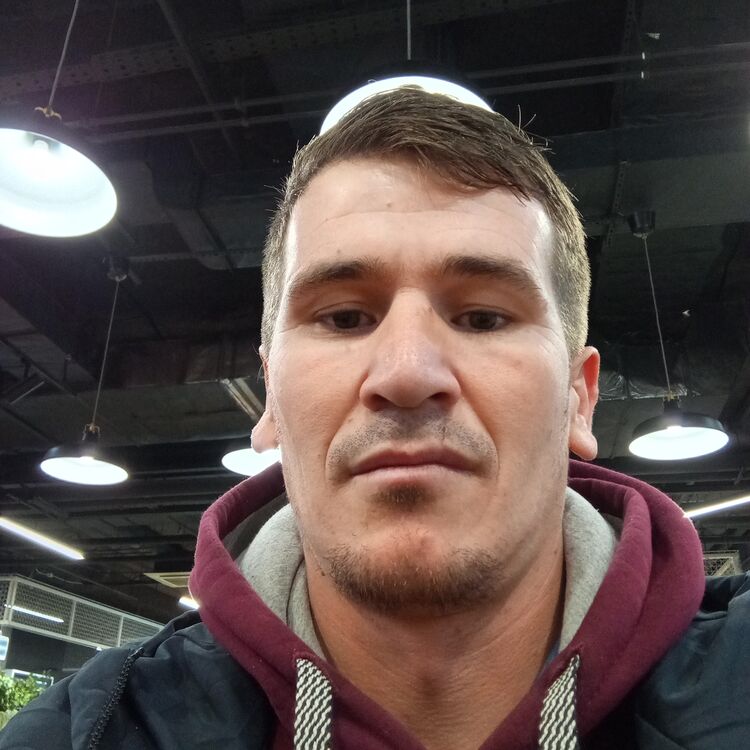 ���� 48240667 ������� ����������, 33 ����, ���� ���������� � ������