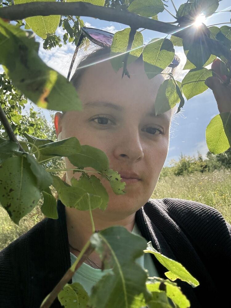  ,   , 33 ,   