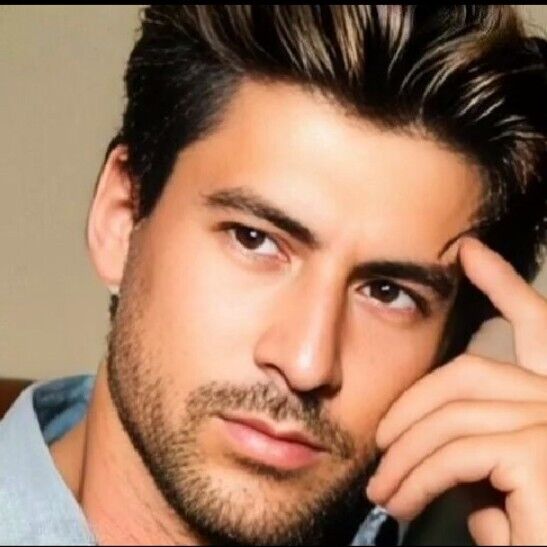 ���� 45060747 ������� ����������, 31 ���, ���� ���������� � ��������