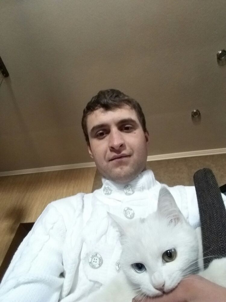  52814227  , 33 ,    