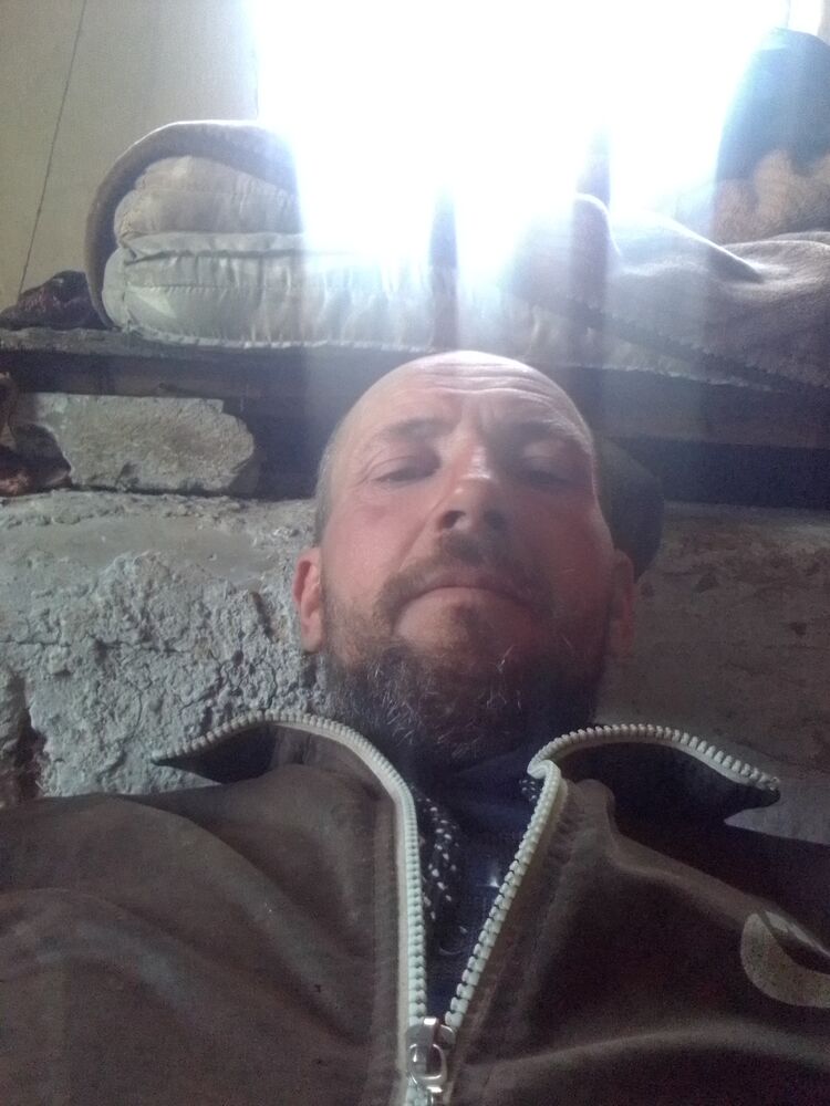  40503037  , 43 ,    