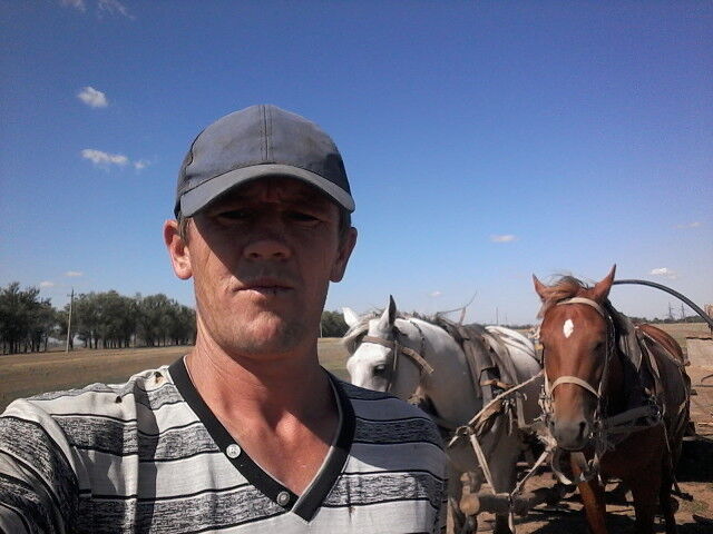 ���� 16688367 ������� ������, 35 ���, ���� ���������� � ������