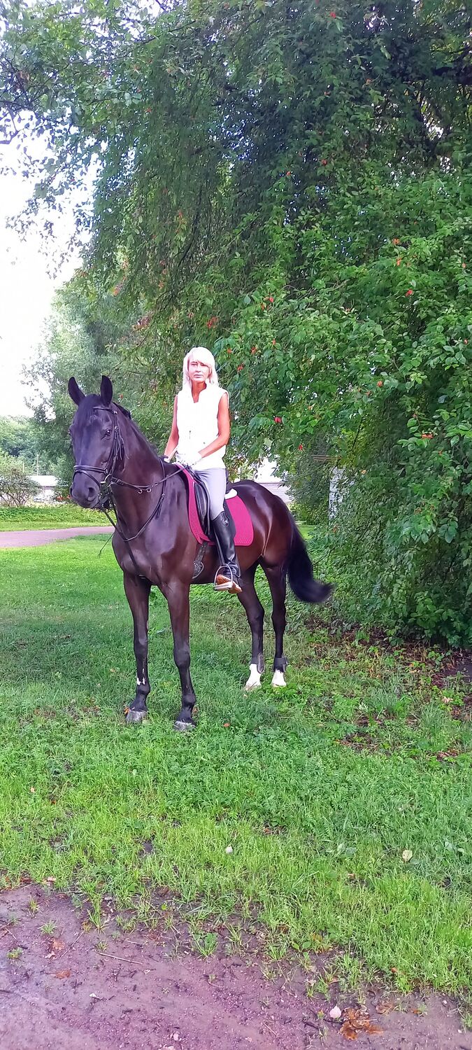  36686447  , 45 ,    -