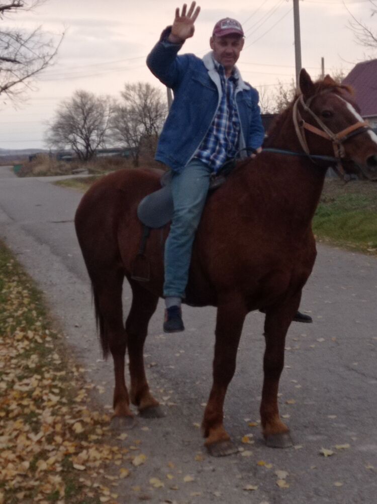 ���������� ���������, ���� ������� ���������, 102 ����, ������������ ��� ������, ����� � ���������