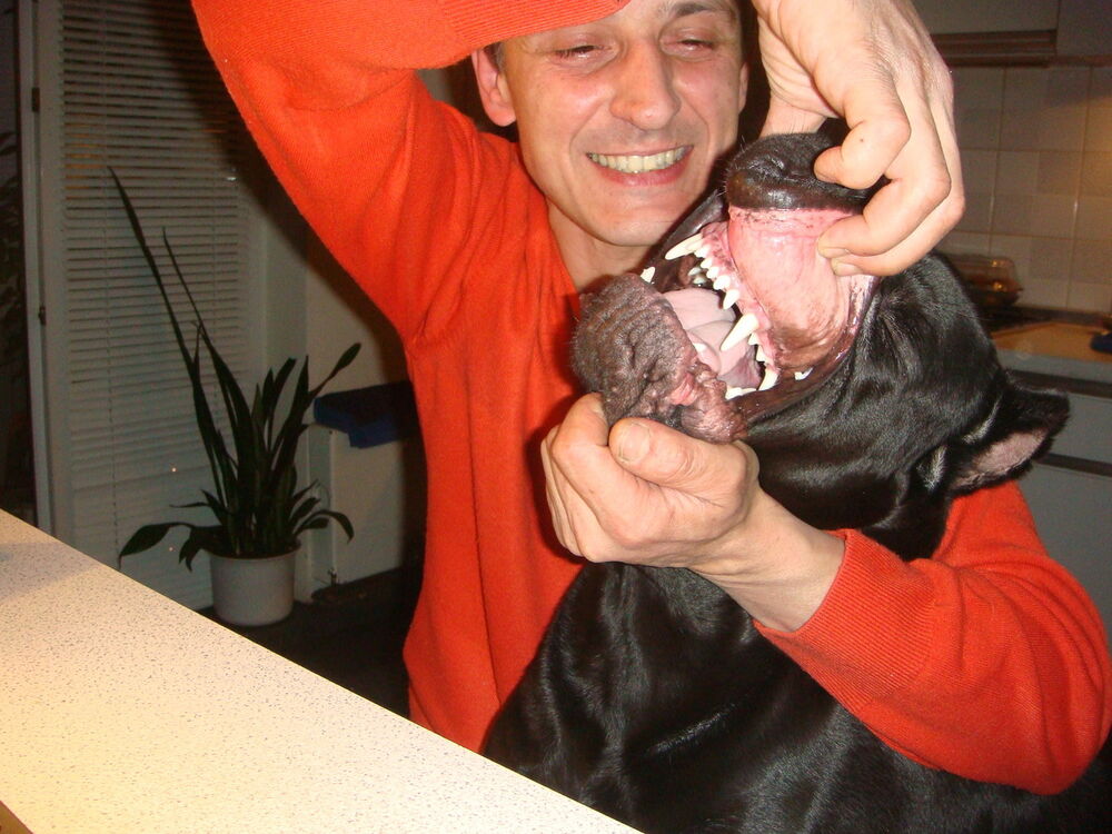 ���������� �����-���������, ���� ������� �������, 59 ���, ������������ ��� ������, ����� � ���������, c�������� ���������