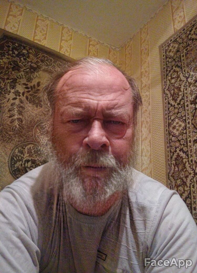 ���� 18462447 ������� �������, 42 ����, ���� ���������� � �������