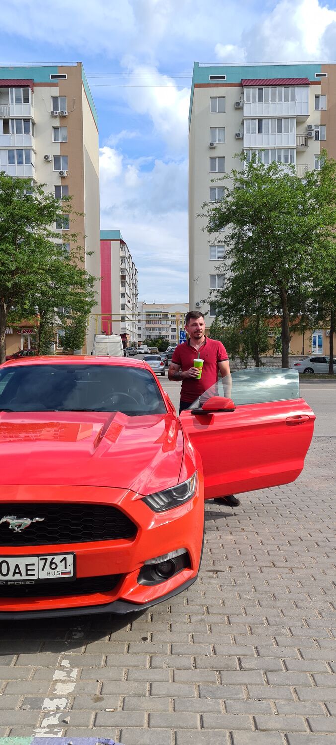 ���������� �����������, ���� ������� ������, 38 ���, ������������ ��� c�������� ���������