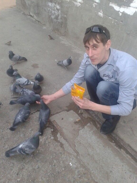  ,   , 41 ,  