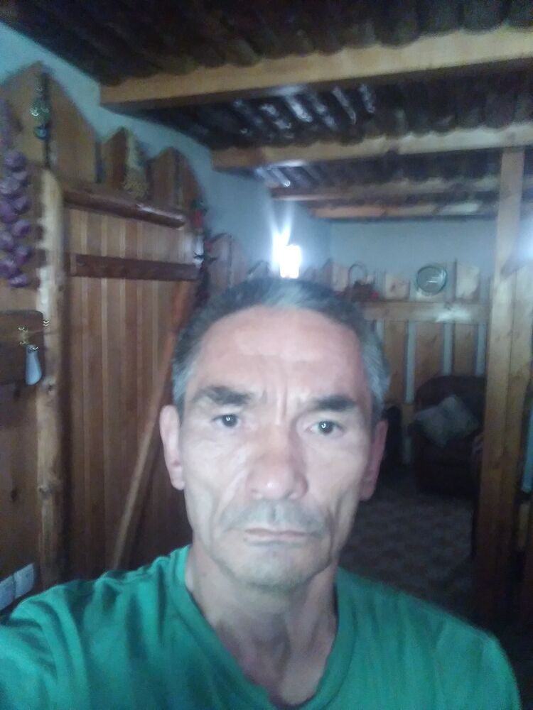  23347397  , 58 ,    