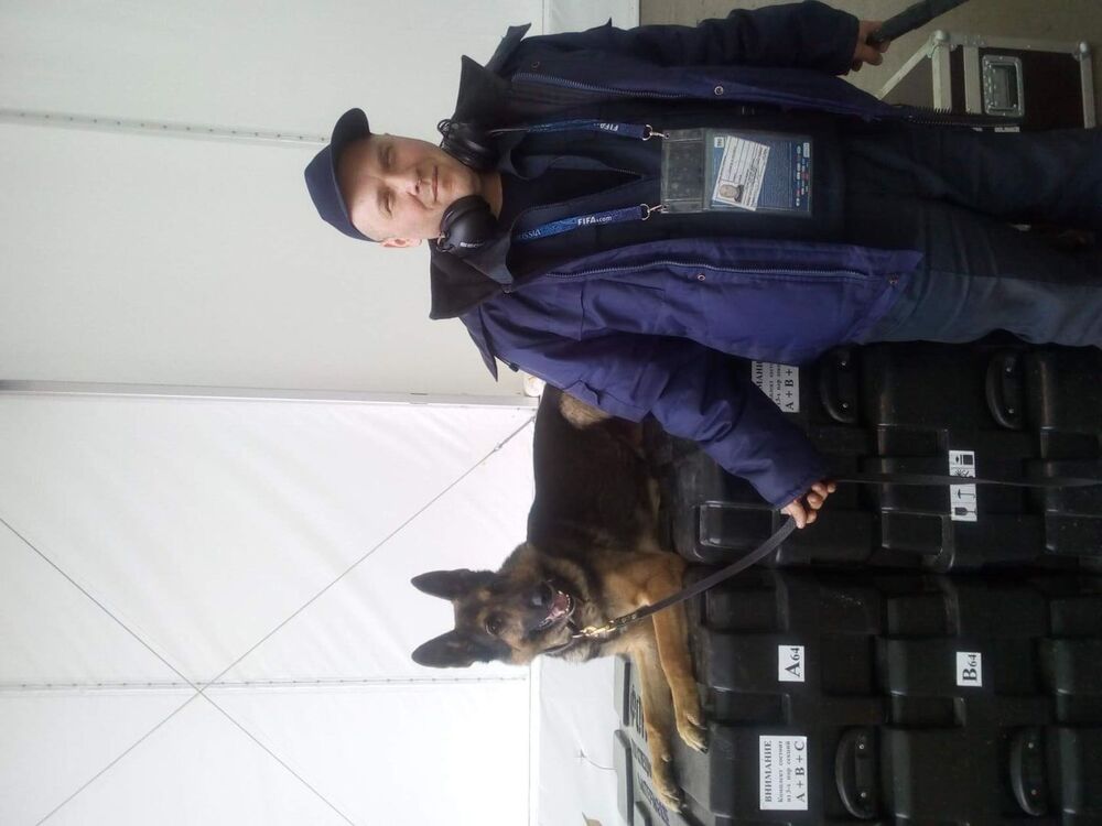 ���� 43311767 ������� �������, 49 ���, ���� ���������� � �������������