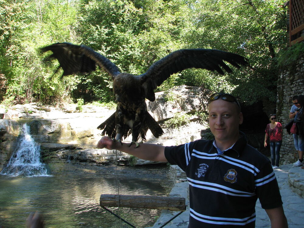 ���� 6245157 ������� �����, 44 ����, ���� ���������� � ������