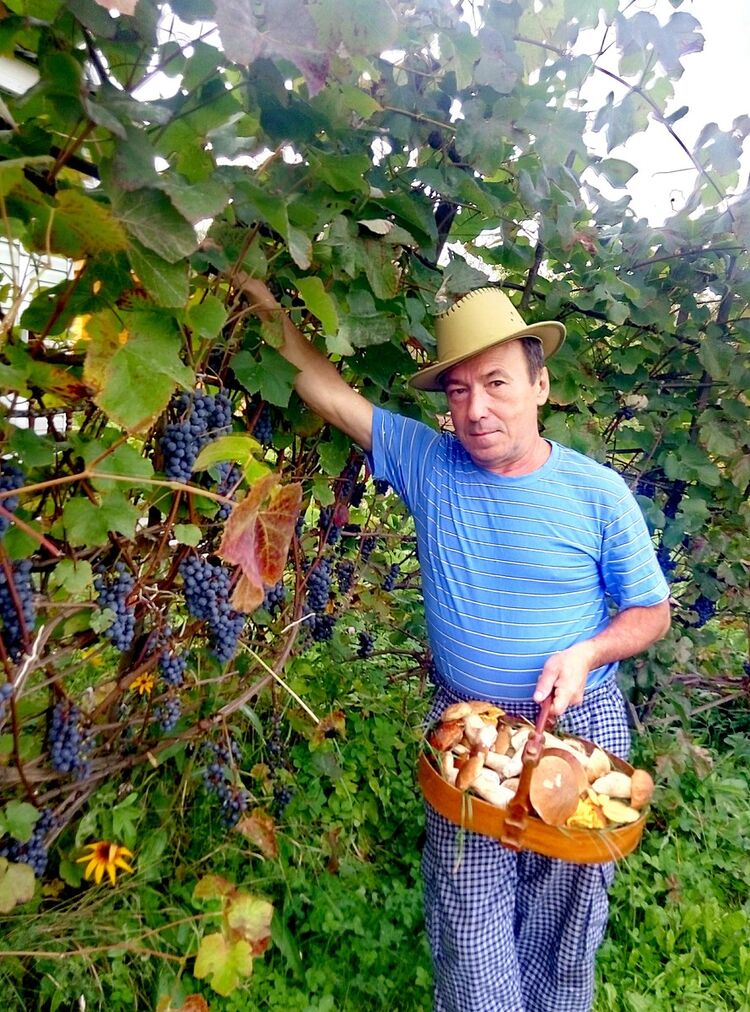 ���������� ������, ���� ������� �����, 65 ���, ������������ ��� ������, ����� � ���������, c�������� ���������