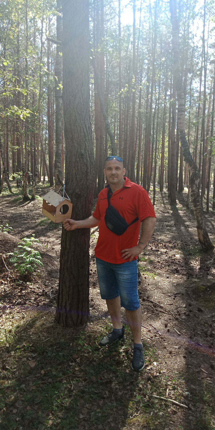 ���������� �����������, ���� ������� ���������, 45 ���, ������������ ��� ������, ����� � ���������