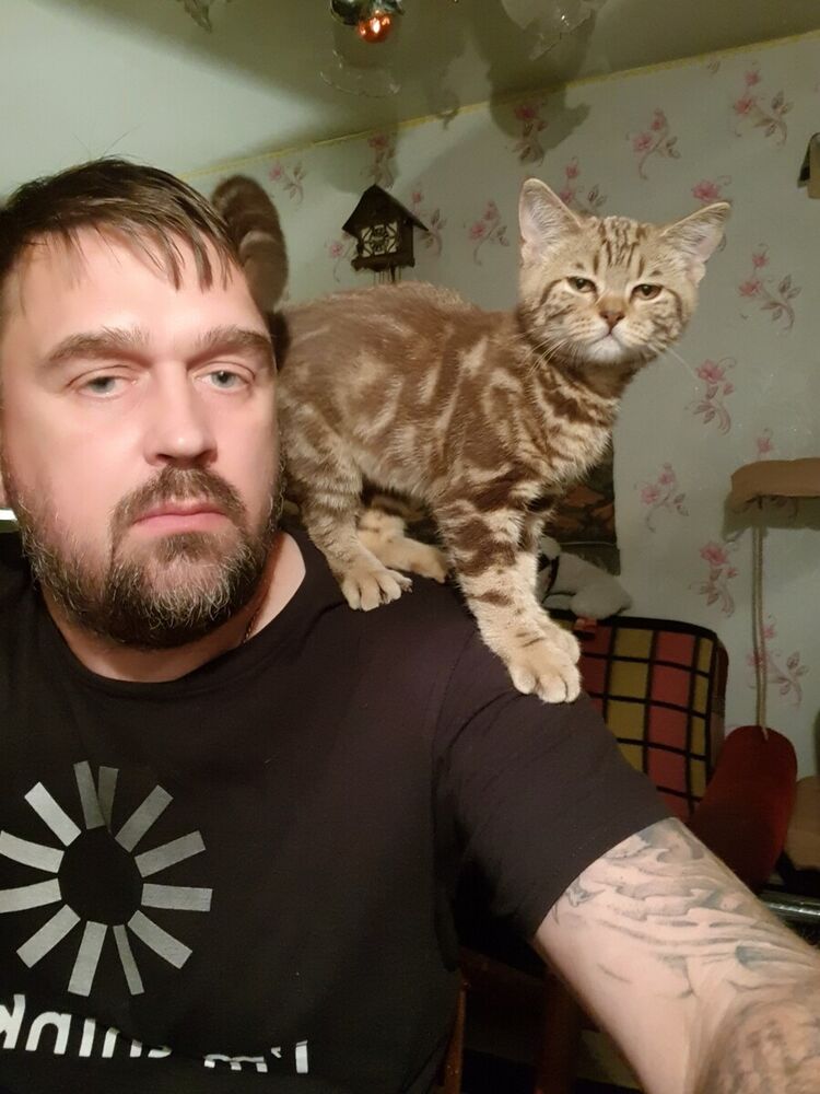 ���������� �����, ���� ������� �������, 55 ���, ������������ ��� ������, ����� � ���������, c�������� ���������