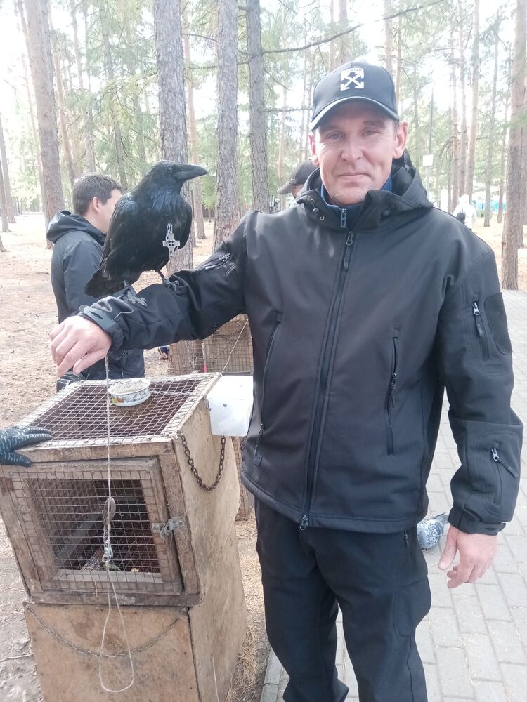 ���� 24052867 ������� ����������, 43 ����, ���� ���������� � ����������