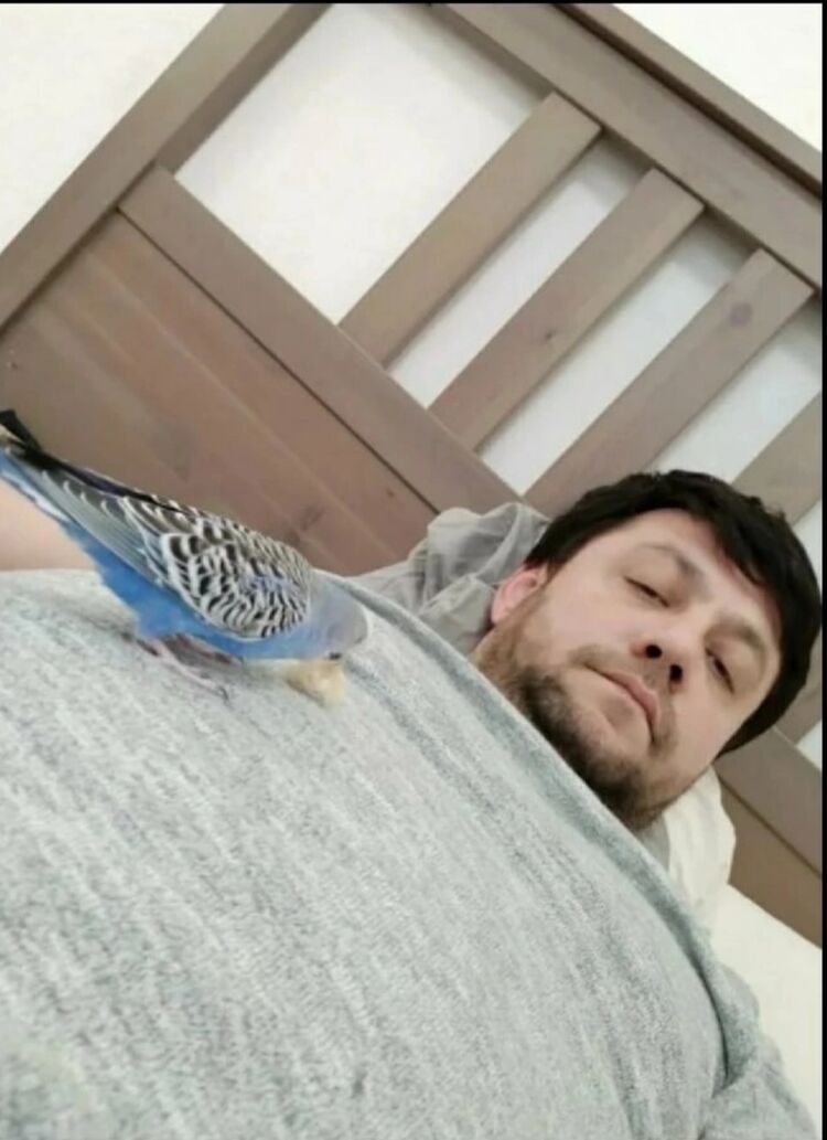  -,   , 44 ,   ,   
