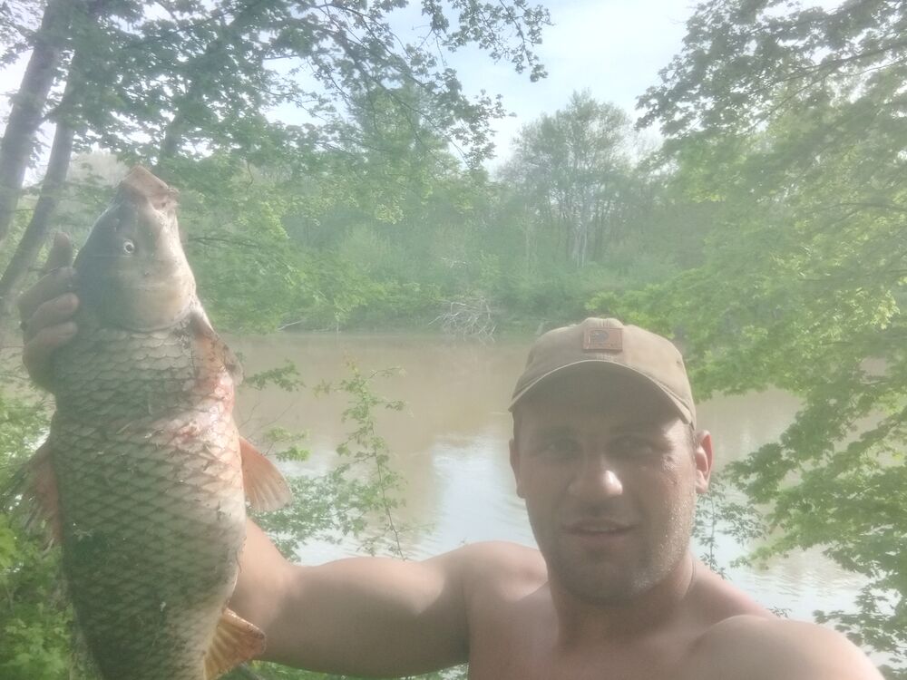  42579987  , 40 ,    