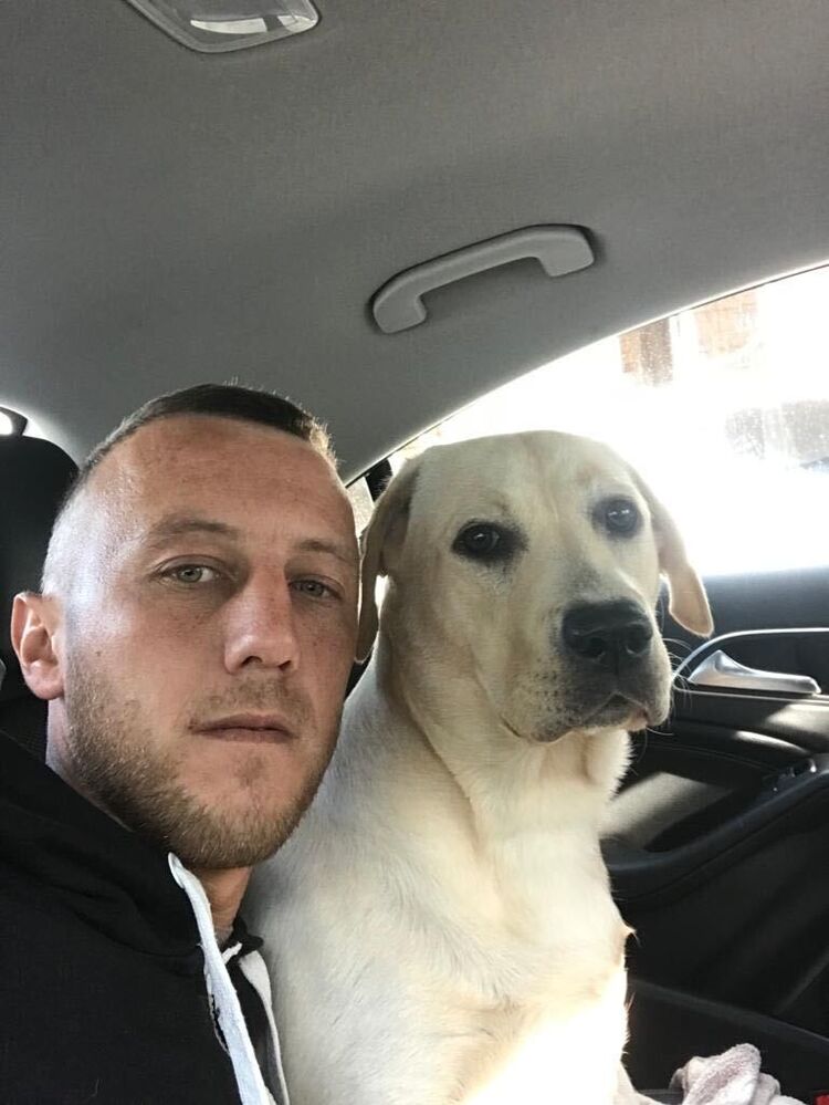 ���� 31952127 ������� �����, 33 ����, ���� ���������� � ���������