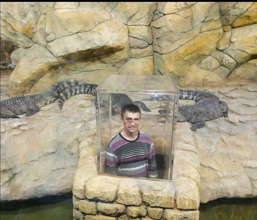 ���������� ������, ���� ������� ����, 48 ���, ������������ ��� ������, ���������