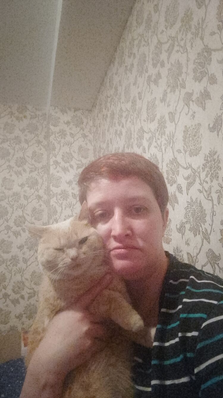 ���������� ������, ���� ������� ����, 40 ���, ������������ 