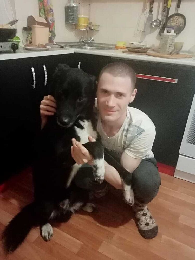 ���� 24653117 ������� ������, 33 ����, ���� ���������� � ��������