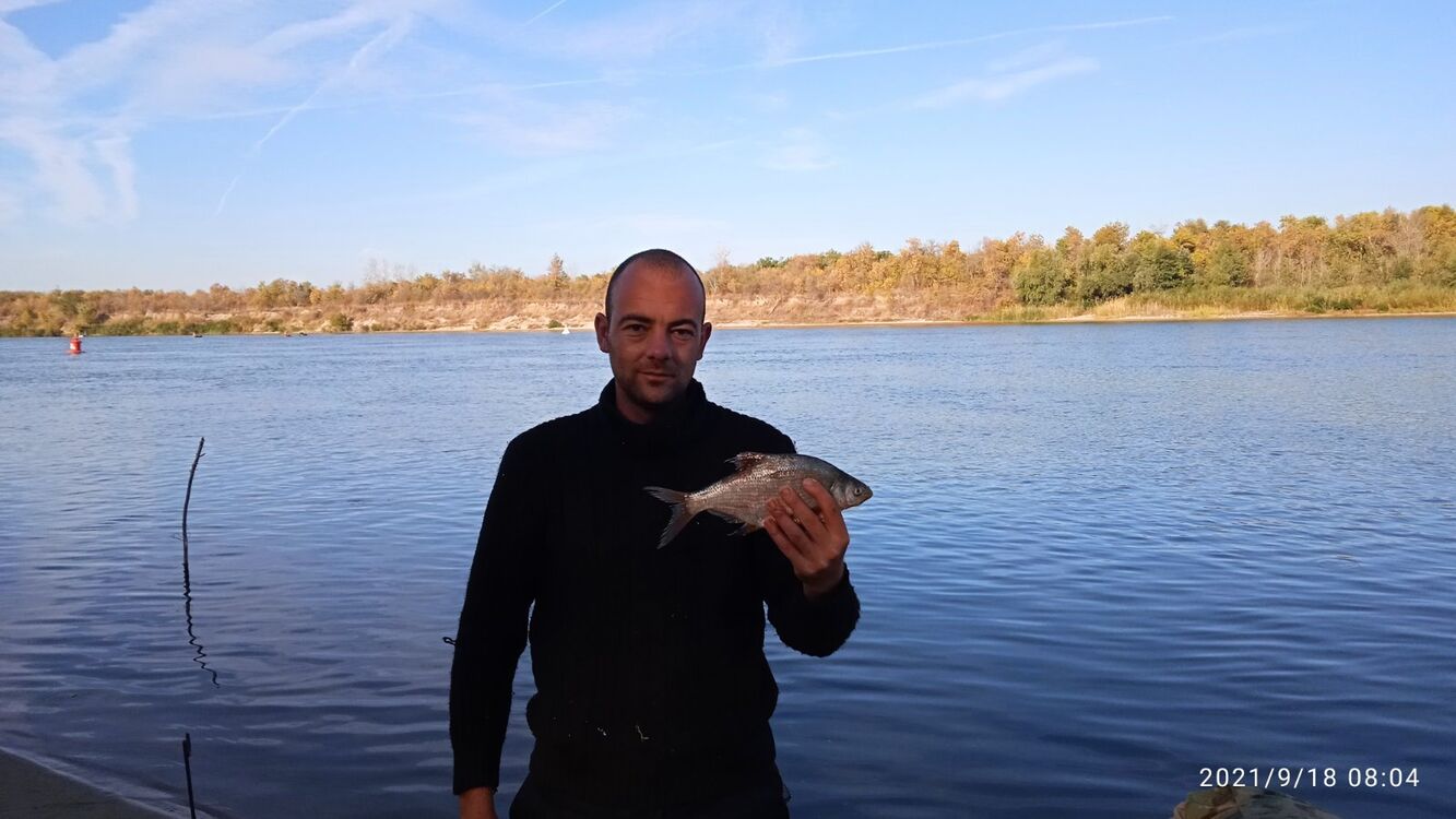 ���� 26435817 ������� ������, 38 ���, ���� ���������� � ����