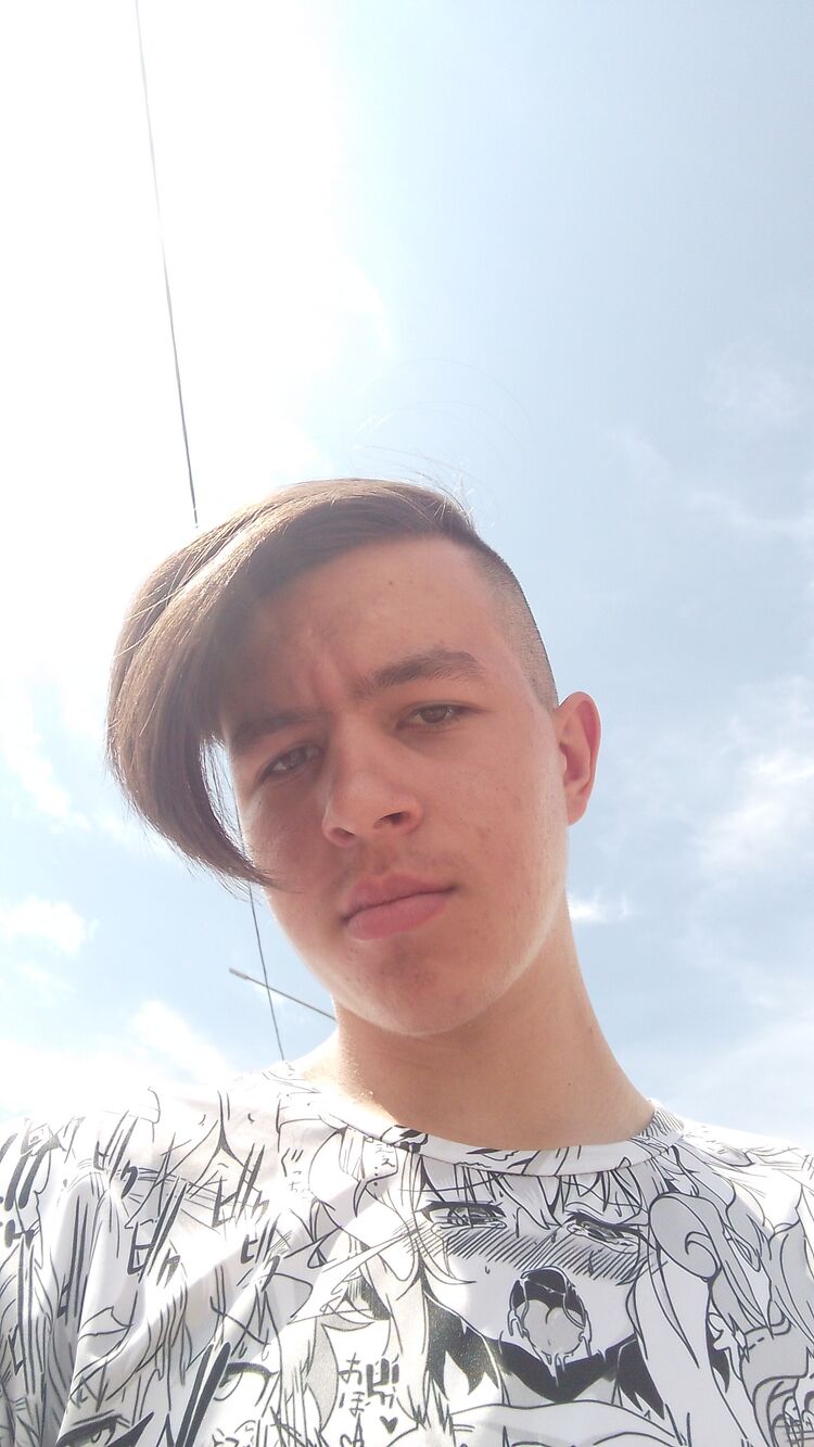  49868707  , 28 ,    
