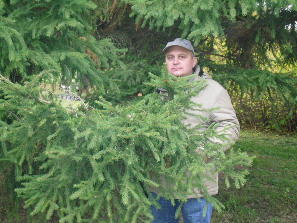 ���� 55274947 ������� �����, 55 ���, ���� ���������� � �����-����������