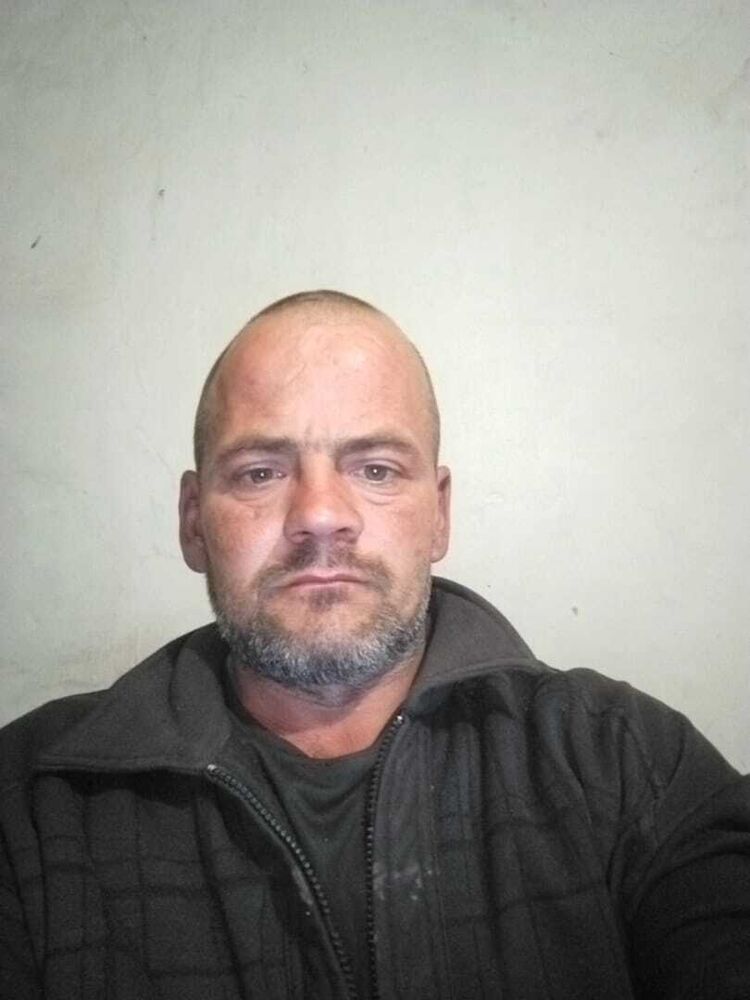  44202147  , 41 ,    