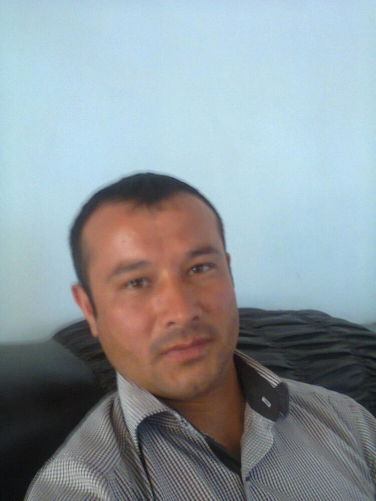  6037397  , 36 ,    
