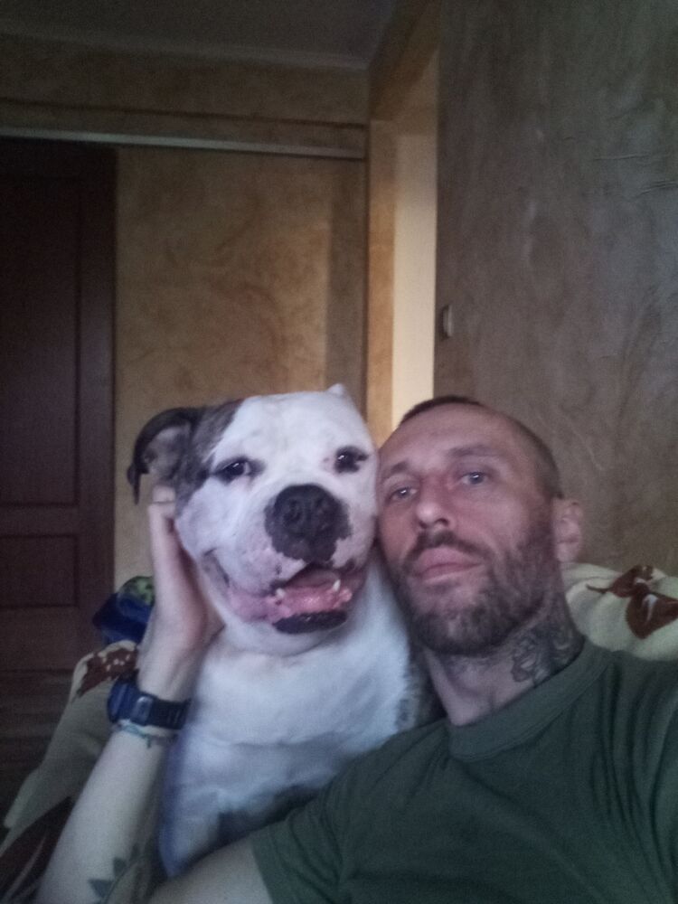  33793137  Vitaxa, 40 ,    