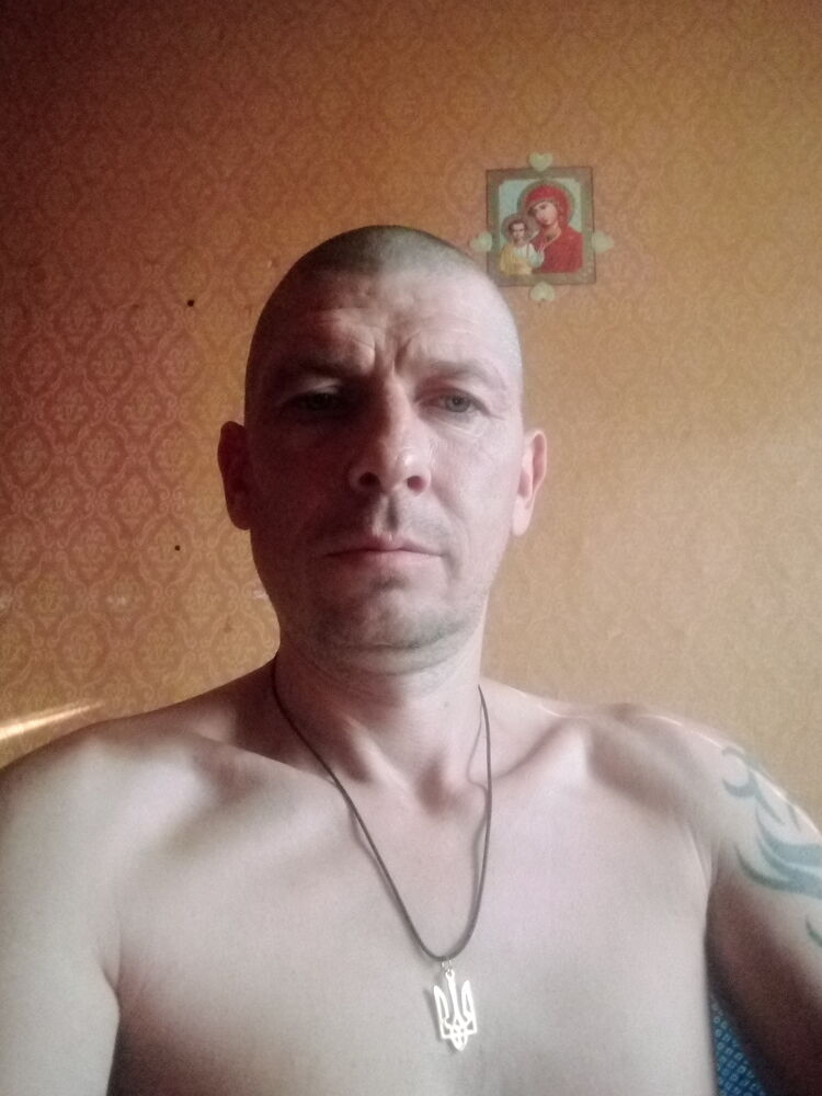  46454947   , 43 ,    
