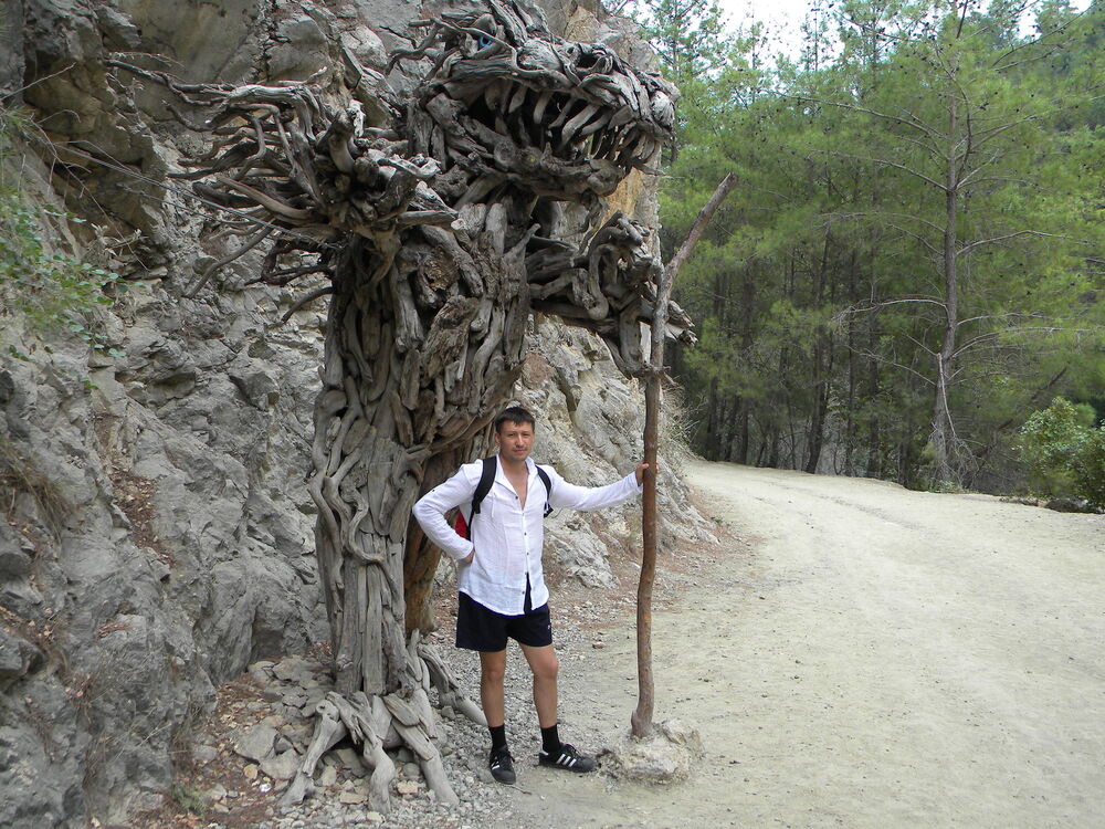  ,   , 41 ,   ,   , c , 