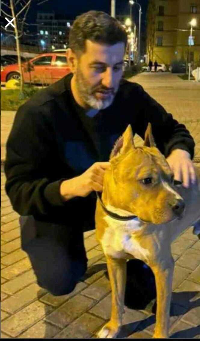 ���� 55386347 ������� ������, 42 ����, ���� ���������� � ���������