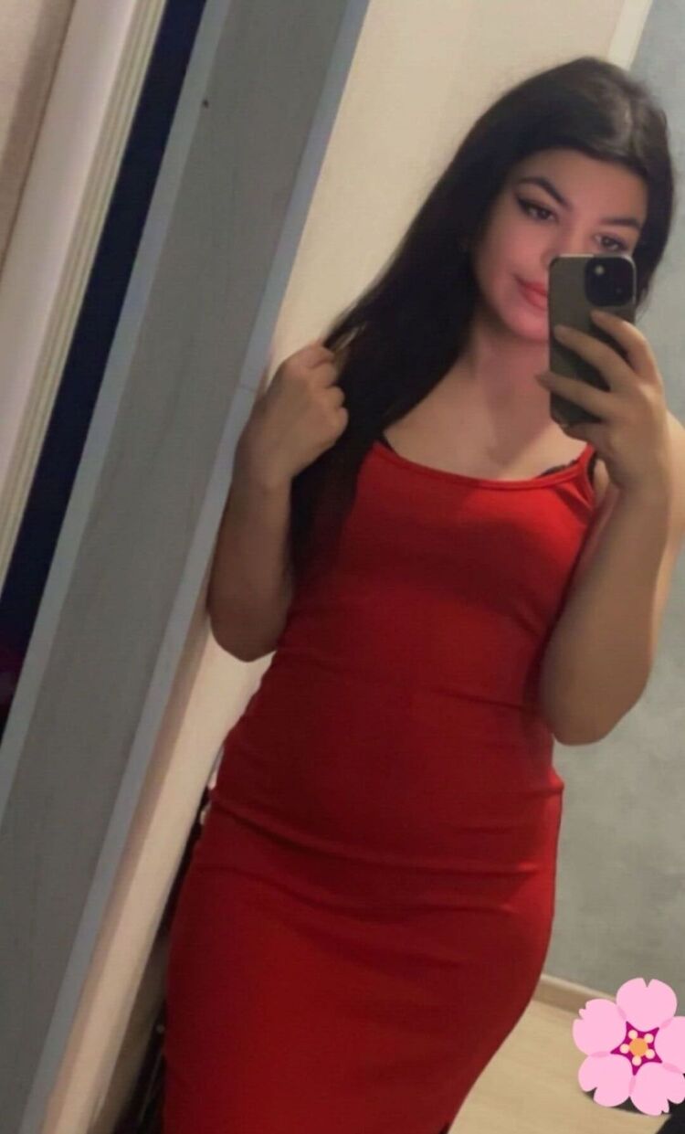 54169187  , 24 ,    