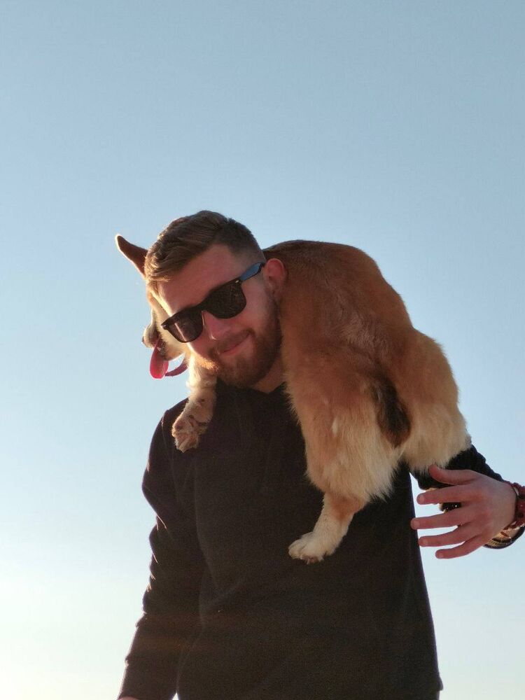 ���� 42365237 ������� �����, 27 ���, ���� ���������� � ������������