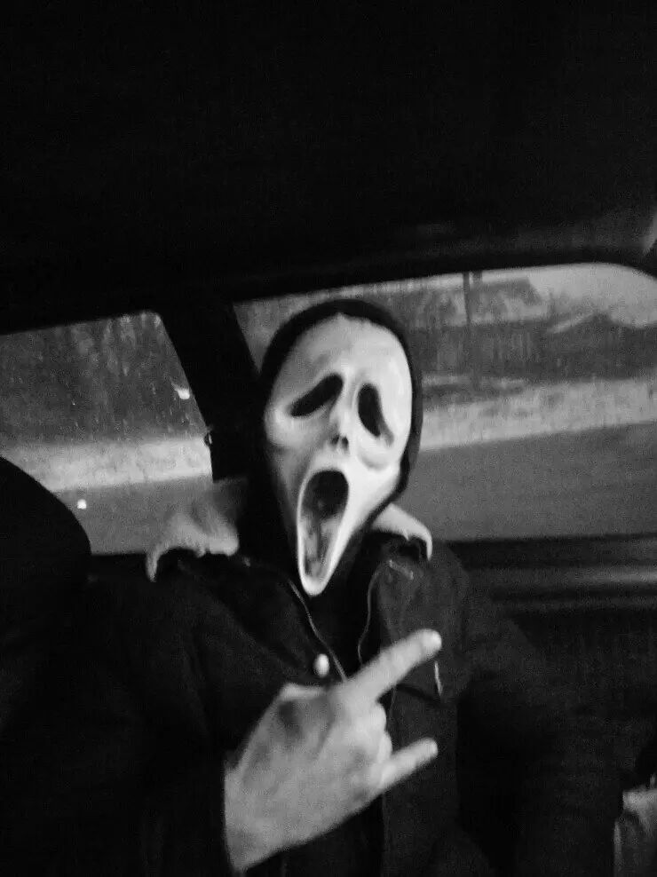  43559927  , 34 ,    -