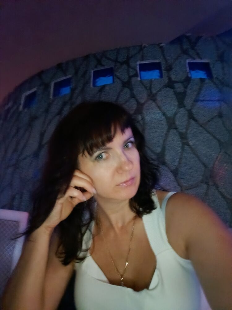  54114667  , 44 ,    