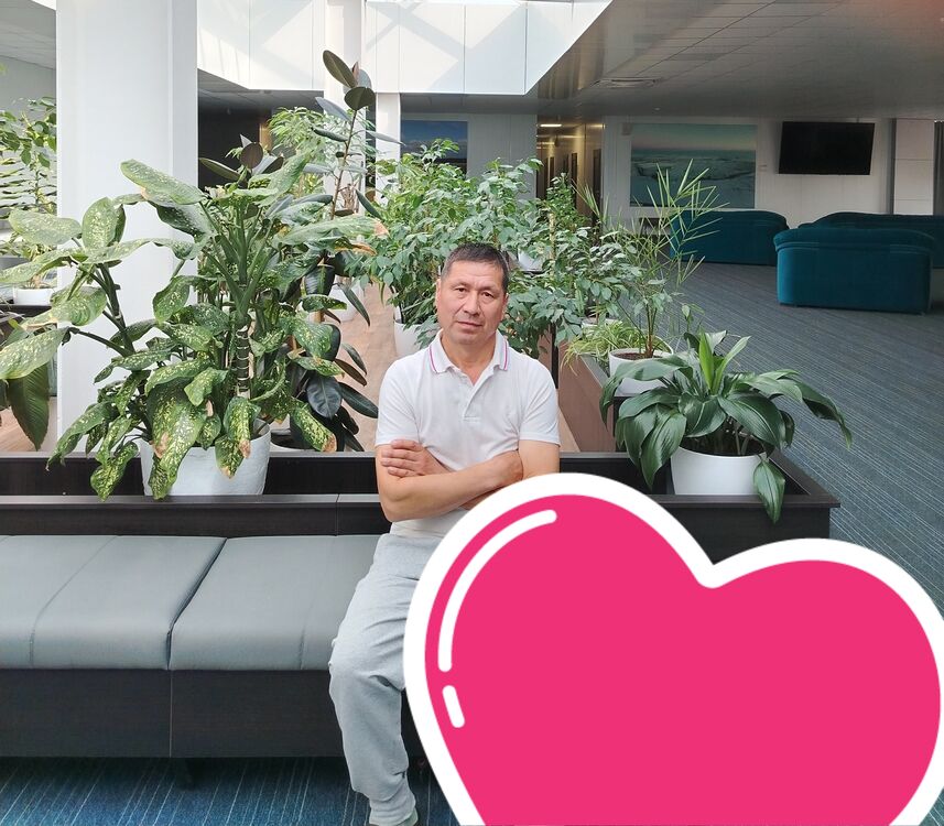  53907137  , 50 ,    -