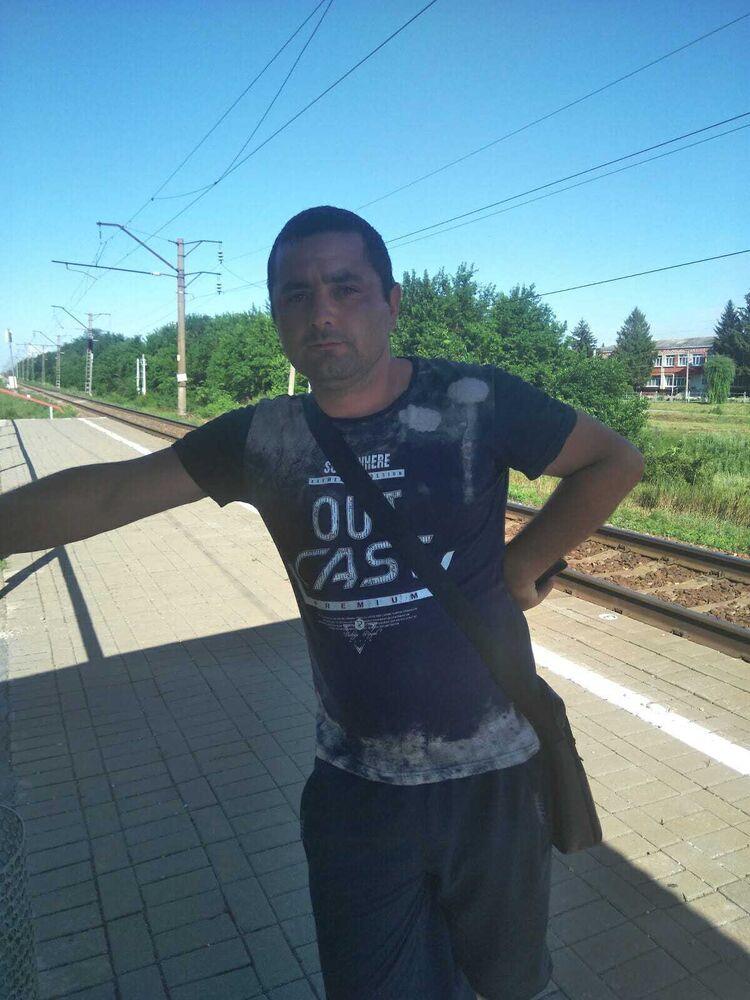  33682037  , 36 ,    -