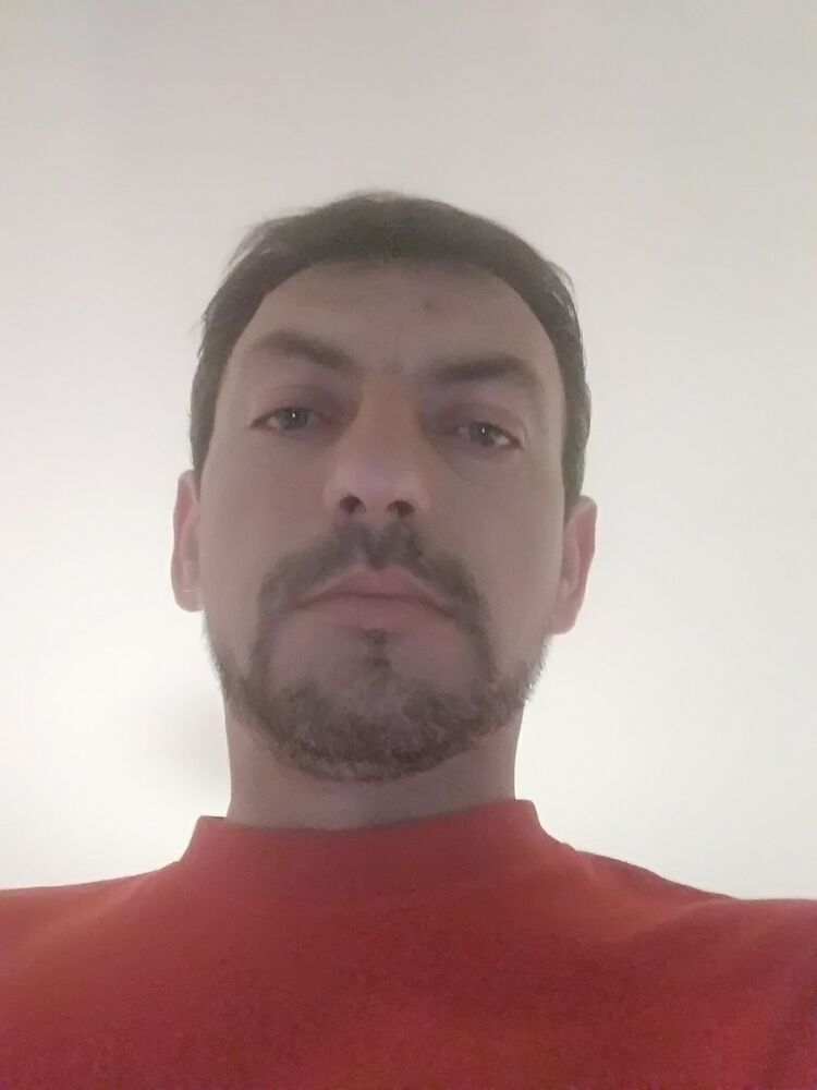 15317237  , 46 ,    