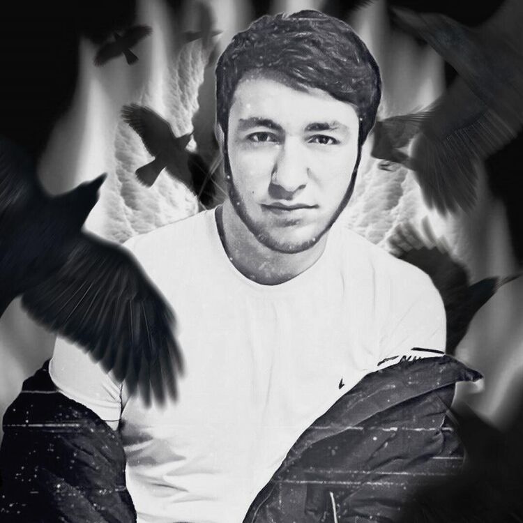  26175787  , 24 ,    -