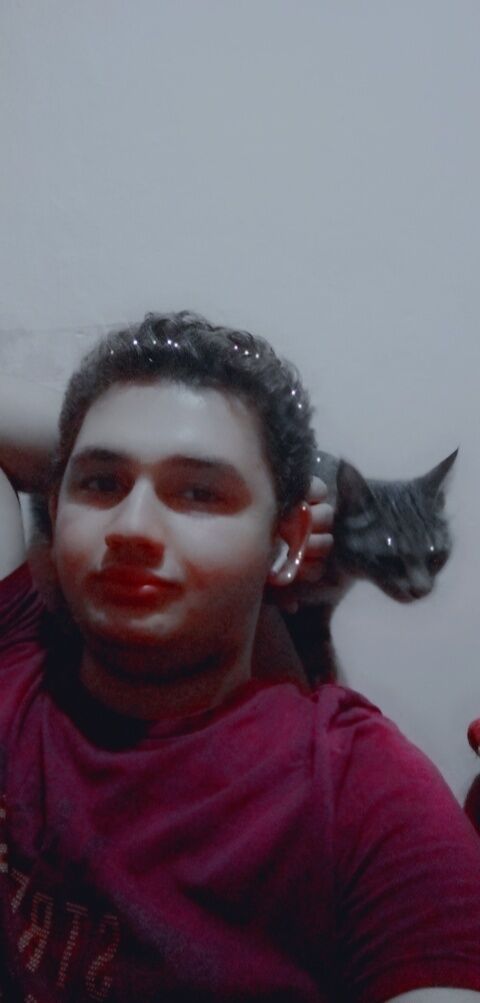 ���� 31205367 ����� ������, 21 ���, ���� ���������� � ����������