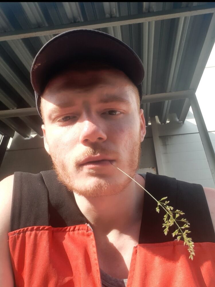 ���������� ������-��-����, ���� ������� ���������, 28 ���, ������������ ��� ������, ����� � ���������, c�������� ���������