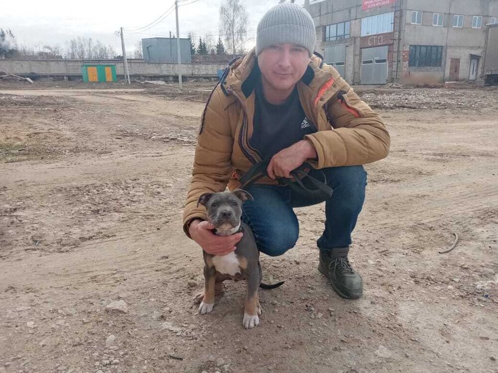 ���� 55772867 ������� ������, 38 ���, ���� ���������� � ����