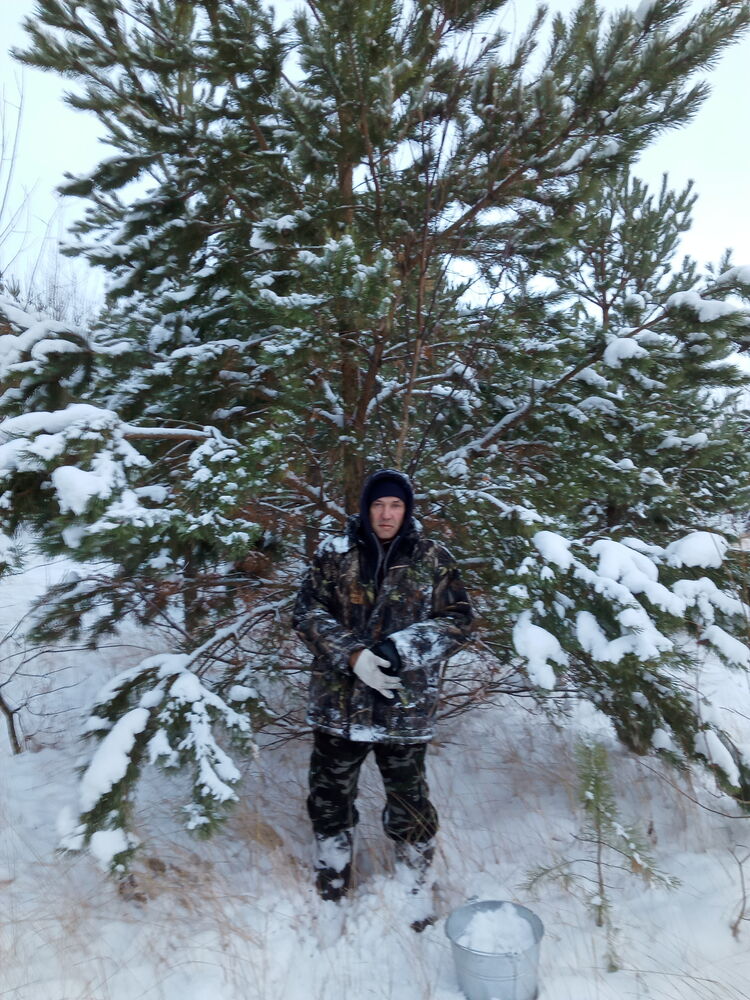 ���� 49738567 ������� ����, 50 ���, ���� ���������� � ������ �������