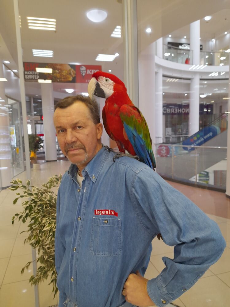  ,   , 56 ,   ,   