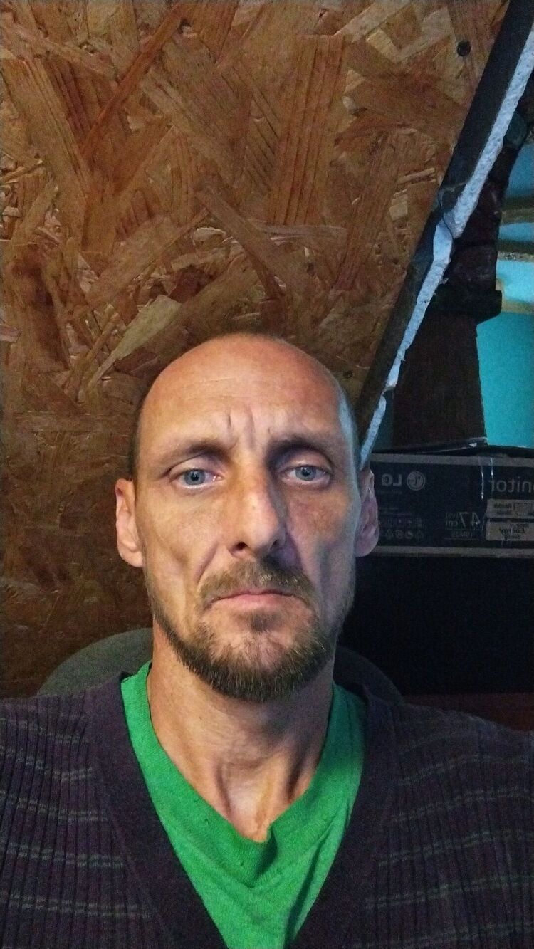  33369717  , 43 ,    